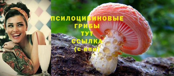 амф Кулебаки