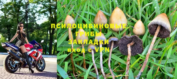 амф Кулебаки