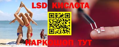 молекула духа Кингисепп
