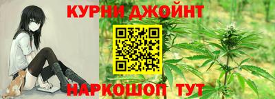 молекула духа Кингисепп