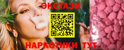 молекула духа Кингисепп
