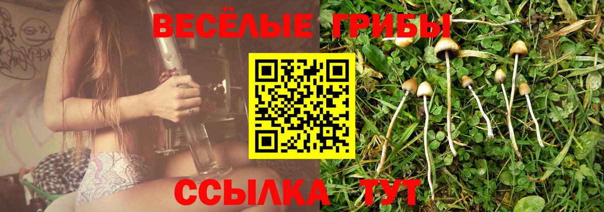 Псилоцибиновые грибы ЛСД Кстово